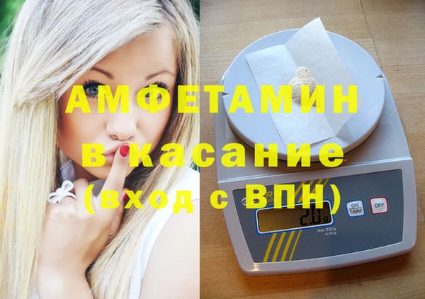 стаф Инта