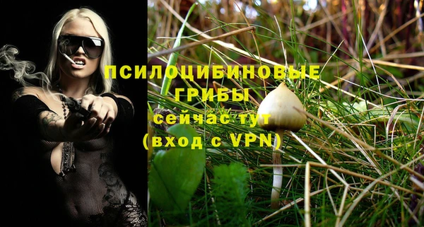 молекула духа Баксан