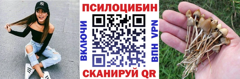 hydra tor  Барыш  Галлюциногенные грибы ЛСД 